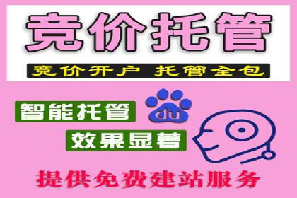 某企业sem账户精准竞价运营全解析
